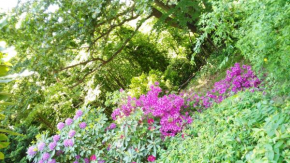 Отель B&B Penny's Garden  Фиано